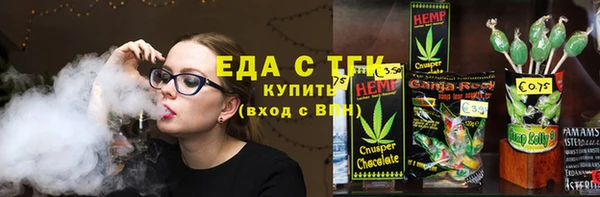 ECSTASY Алзамай
