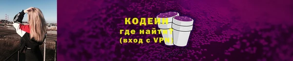 ECSTASY Алзамай