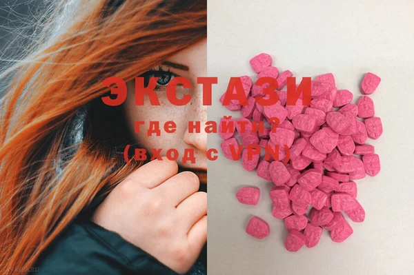 ECSTASY Алзамай
