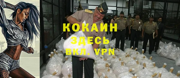 ECSTASY Алзамай