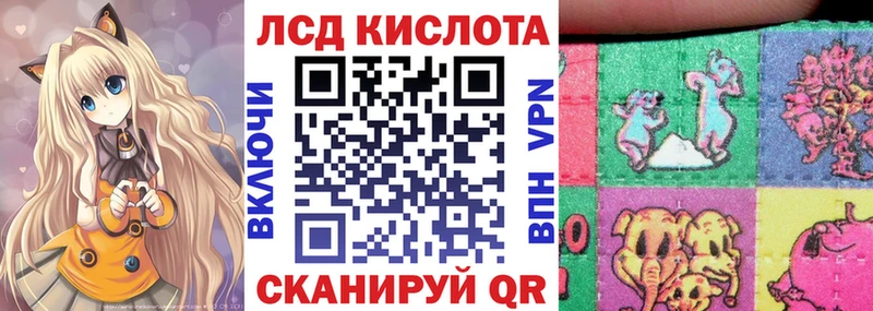 где продают   Зеленоградск  mega   Марки 25I-NBOMe 1500мкг 
