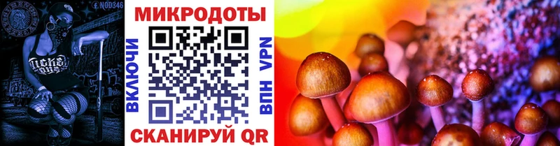 Псилоцибиновые грибы Psilocybe  Зеленоградск 