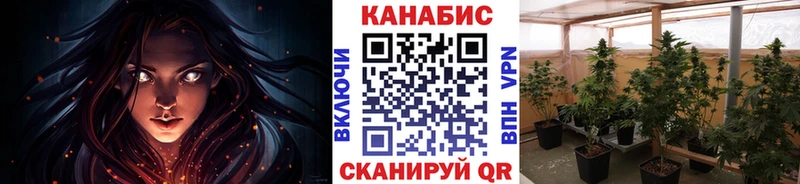 ссылка на мегу ссылки  Зеленоградск  Каннабис план 